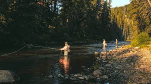 There are three rivers near sarasota that experience these migrations. Fly Fishing Near Me Myriverguide Com