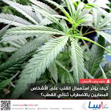 Shop for multiple quantities of hemd oil at great savings. Ù†Ø§Ø³Ø§ Ø¨Ø§Ù„Ø¹Ø±Ø¨ÙŠ ÙƒÙŠÙ ÙŠØ¤Ø«Ø± Ø§Ø³ØªØ¹Ù…Ø§Ù„ Ø§Ù„Ù‚Ù†Ø¨ Ø¹Ù„Ù‰ Ø§Ù„Ø£Ø´Ø®Ø§Øµ Ø§Ù„Ù…ØµØ§Ø¨ÙŠÙ† Ø¨Ø§Ù„Ø§Ø¶Ø·Ø±Ø§Ø¨ Ø«Ù†Ø§Ø¦ÙŠ Ø§Ù„Ù‚Ø·Ø¨
