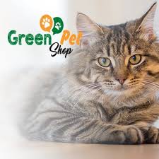 Muhabbet Kusu Fiyatlari Pet Shop Kocaeli Green Pet Shop Kedi Kopek Izmit