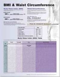 Bmi And Waist Circumference Anatomical Chart Company