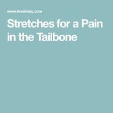 Tail bone anat. das steißbein pl.: All Categories Viewlimi