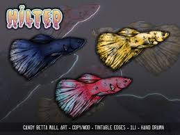 You'll find a high quality of healthy and colorful betta fish for sale. Second Life Marketplace Hilted Candy Betta Wall Art