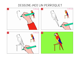Dessins et coloriages sur les perroquets. Apprendre A Dessiner Un Perroquet En 3 Etapes