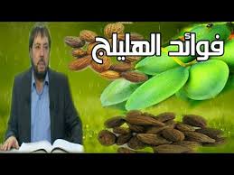 .شرعلا ـدآ بلص نم اىدوجو ا ردق يتلا ةفطنلا تغرفو ةدعلا تضقنا اذإف توٯت ىتح ضرألا وجو ىلع اىتَبك ، اىتَثكو اهليلق ، اىتَقحو اهليلج ات٢امعأب قئبلت٠ا ىزاجو ةمايقلا ا ـاقأ ةيربلا. ÙÙˆØ§Ø¦Ø¯ Ø§Ù„Ù‡Ù„ÙŠÙ„Ø¬ ÙˆØµÙØ§Øª Ø¹Ù„Ø§Ø¬ÙŠØ© Ø¨Ø§Ù„Ø§Ø¹Ø´Ø§Ø¨ Ù…Ø¹ Ø§Ù„Ø¯ÙƒØªÙˆØ± Ø£Ø¨Ùˆ Ø¹Ù„ÙŠ Ø§Ù„Ø´ÙŠØ¨Ø§Ù†ÙŠ Youtube