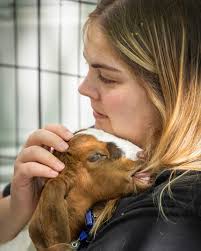 Penn State College of Medicine (@pennstatecollegeofmedicine) · Instagram  照片和视频