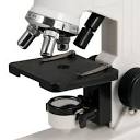 میکروسکوپ اپتیکی زیست شناسی سلسترون کد 44121-11 - زیتازی