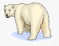 We did not find results for: Pin Baby Polar Bear Clipart Clip Art Polar Bear Hd Png Download Transparent Png Image Pngitem