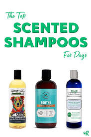 15 Dog Safe Shampoos To Make Your Dog Go From Stinky To Sweet In 2020 Dog Shampoo Dog Smells Scented Shampoo