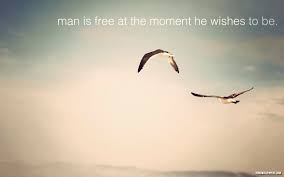 Man Is Free At The Moment He Wishes To Be Fly Quotes Bird Quotes Freedom Quotes