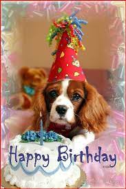 happy birthday ada cant believe you are 5 years old today happy birthday greetings happy birthday pictures happy birthday dog