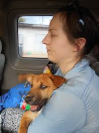 Moon Weasel and Space Monkey