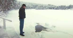65-year-old man waits every day for his friend to crawl out of this hole and greet him – when we see what pops up, we can't help but smile... 😊 ❤️ Check