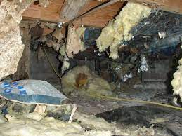 We pride ourselves in being professional and knowledgeable we offer full pest control services serving charleston sc and surrounding areas including daniel island. We Clean Crawl Spaces In Fl And Ga Crawl Space Cleanup In Jacksonville Saint Augustine Boca Raton