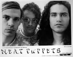 28 Meat Puppets ideas