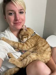 Help find lost dog Tango in Rockledge area