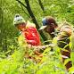 Foraging Course in Nottingham event image