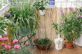 Das gärtnernde fräulein berichtet nicht nur über die pflanzenpracht in ihrem garten oder auf ihrem balkon, sondern hält die blühenden impressionen auch auf wunderschönen fotos fest. Garten Fraulein Der Garten Blog