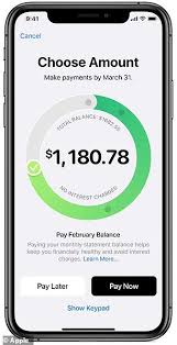 Fill out your personal information, including things like once you have the apple card added to your wallet app, you can add it to your other devices. Apple Debuts A Titanium Credit Card With No Fees Low Interest Rates And Daily Cash Back Rewards Daily Mail Online