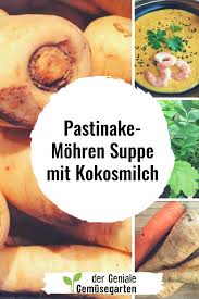 Man Konnte Sagen Dass Die Pastinake Sowas Wie Ein Fast Vergessenes Wurzelgemuse Ist Eigentlich Sind Ihre Pastinake Suppe Mit Kokosmilch Pastinaken Rezepte