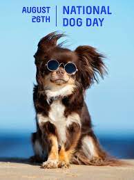 His dog, grizzly, recently donned. National Dog Day Is August 26th Petplate