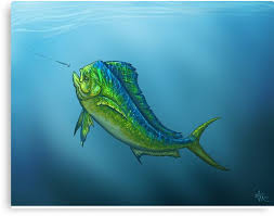 El Dorado By Amber Marine Fish Art Wildlife Artists Dolphin Drawing