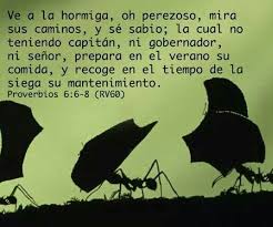 Pro 6 6 Ve A La Hormiga Oh Perezoso Mira Sus Caminos Y Se Sabio Mamejiaaz Memes Poster Movie Posters