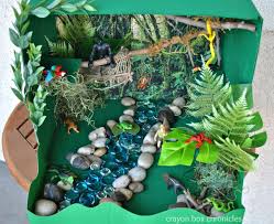 Biome In A Box Tropical Rainforest Wordpress Com Rainforest Project Rainforest Crafts Habitats Projects