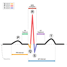 Image result for Electrocardiogram Validity