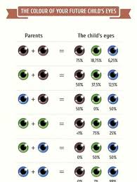 why do baby eye colour predictor charts show that brown blue