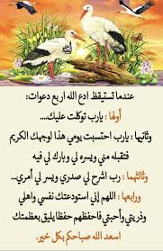 Pin By Misha Wolf On Maximes Islam Facts Quran Quotes Islam Hadith