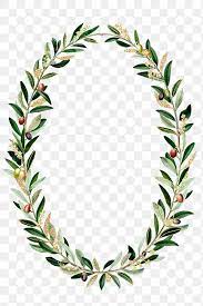 Olive Branches Wreath Png Green Botanical Free Image By Rawpixel Com Noon In 2020 Olive Branch Wreath Olive Branch Free Illustrations