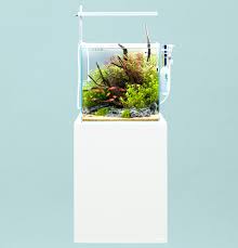 Check spelling or type a new query. Dooa System Aqua 30 Aquascaping With Easy To Install Equipment Ada