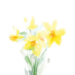 Watercolor Painting Group