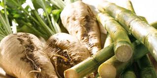 Gharb Rendements Record Pour Les Cultures Sucrieres Agrimaroc Ma