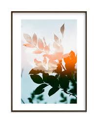 Season S Change Photography Limited Edition Art Print By Sasquatch Mansfield Art Prints Art Limited Edition Art Print