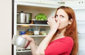 How to remove smells from the fridge. How To Get Rid Of Bad Refrigerator Odor How To Remove That