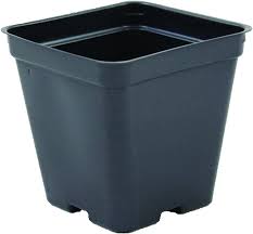 Plastics square vacuum deep (svd) and square vacuum traditional (svt) plant pots are designed to provide you with a durable, dependable and this simple system allows you to secure the appropriate number of pots in a tray all at the same time, instead of setting each pot individually. Amazon Com Square Greenhouse Pots 3 5 Inch X 3 5 Inch Black Plastic Deep Case Of 450 By Growers Solution Garden Outdoor