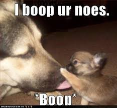 Everyone Loves A Puppy Cute Animals Funny Dog Pictures Funny Animal Quotes
