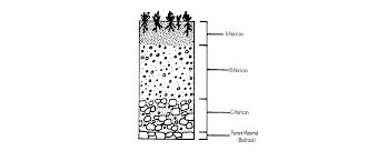 * chemical weathering turns hard minerals into soft ones. Http Chickscience Weebly Com Uploads 5 7 2 0 57204123 Soil Formation Worksheet Pdf