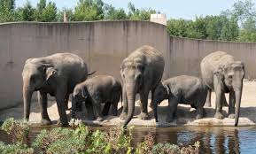 Planckendael is a zoo, located on the grounds of planckendael castle in the village district of muizen, in mechelen, belgium. Dierenpark Planckendael Te Mechelen Mechelen Op Zijn Best