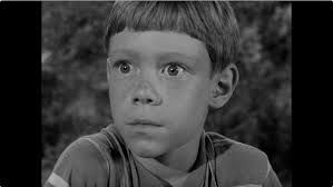 Tributes To Your Favorite Classic TV Stars