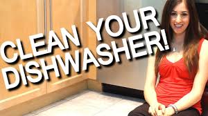 My old dishwasher filter always had lots to clean out, this one always, every time i check, has none. How To Clean Your Smelly Dishwasher Kitchen Appliance Cleaning Ideas Fast Easy Clean My Space Youtube