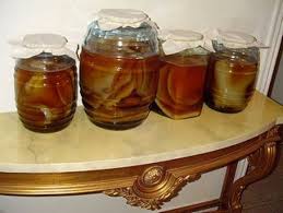 как вырастить молочный гриб с нуля в домашних условиях Chajnyj Grib Appetithappen Tipps Gesundheit