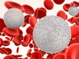 Il termine abbastanza improprio di leucemia fulminante fa riferimento ai casi acuti che mostrano un sintomi. Michele Merlo Morto Di Leucemia Fulminante Ecco I Sintomi Qds