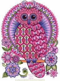 Price is for print alone. Groovy Owls Coloring Book By Thaneeya Mcardle Thaneeya Com
