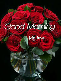 Good Morning For Girlfriend In 2020 Good Morning Beautiful Flowers Good Morning Flowers Good Morning Love