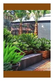 Tropical Plant Ideas For Garden In Md Tropical Garden Design Tropical Backyard Landscaping Tropical Backyard