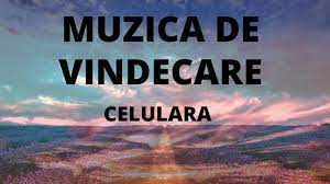 Meditatie de vindecare cu lumina pentru sănătate și vindecare. Muzica De Vindecare Celulara Youtube