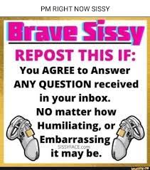 PM RIGHT NOW SISSY Brave Sissy REPOST THIS IF: You AGREE to Answer ANY  QUESTION received in your inbox. NO matter how Humiliating, or Embarrassing  it may be. - iFunny Brazil