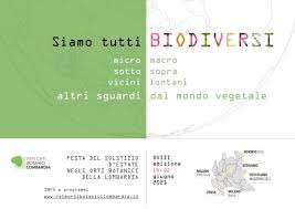 Equinozio, solstizio e stagioni i moti della terra rivoluzione e rotazione della terra 2021, potrebbe. 96nginnlmon77m